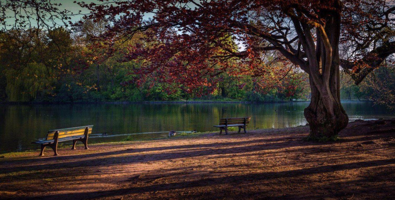 , Синкальський Тарас