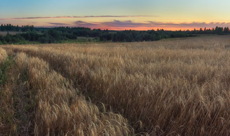 Во поле фото превью