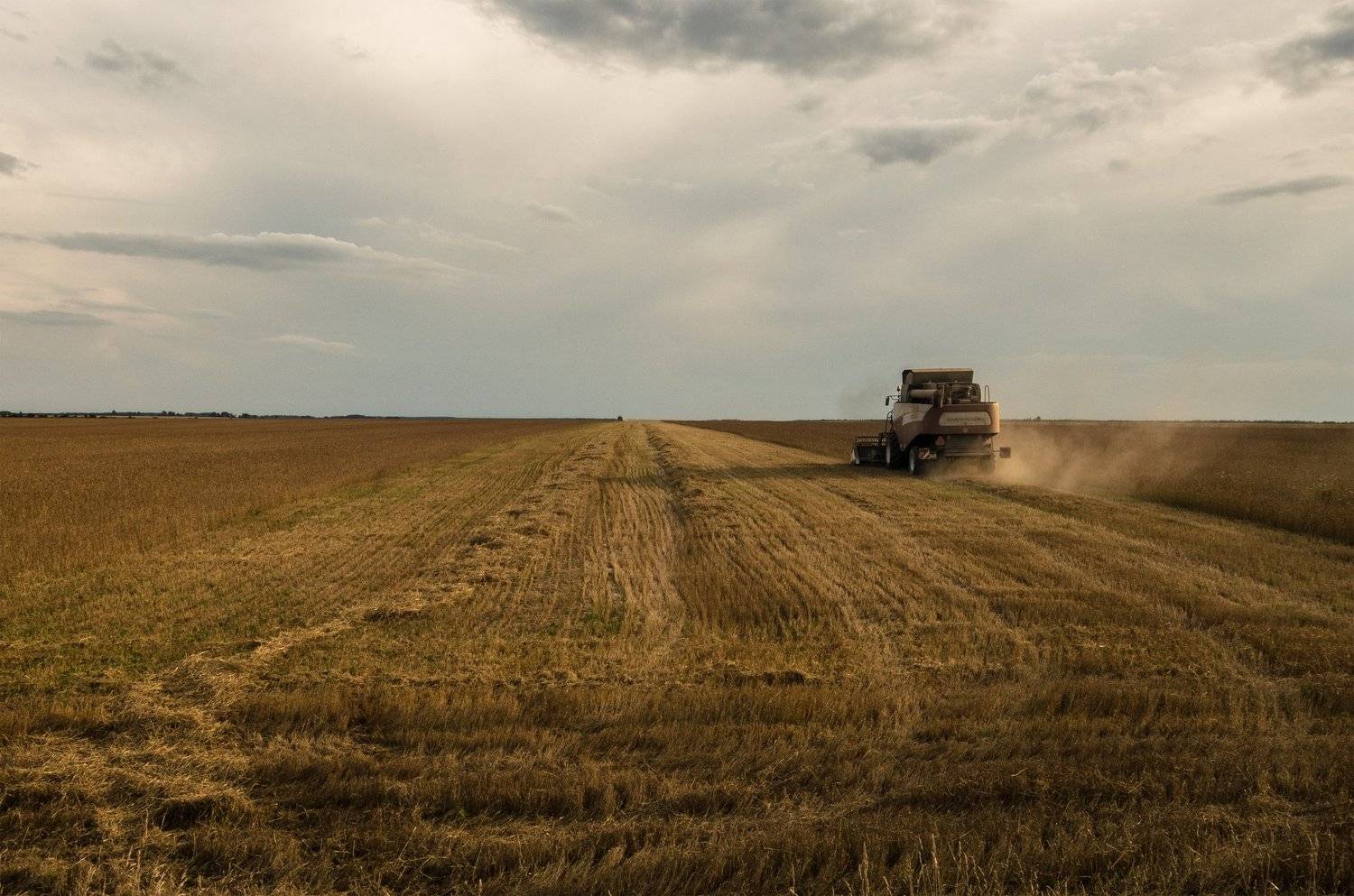 лето,небо,поле, Карепанов Евгений