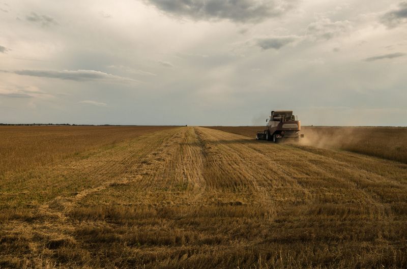 лето,небо,поле Уборка урожая фото превью