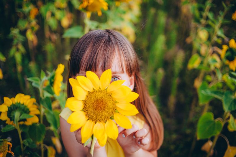 девушка За солнцем фото превью
