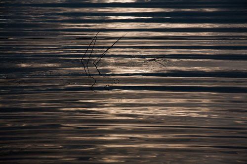 Отражения. (2)