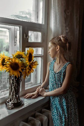 sunflowers