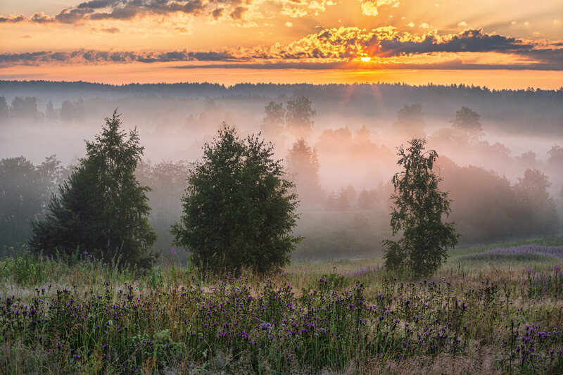 * фото превью