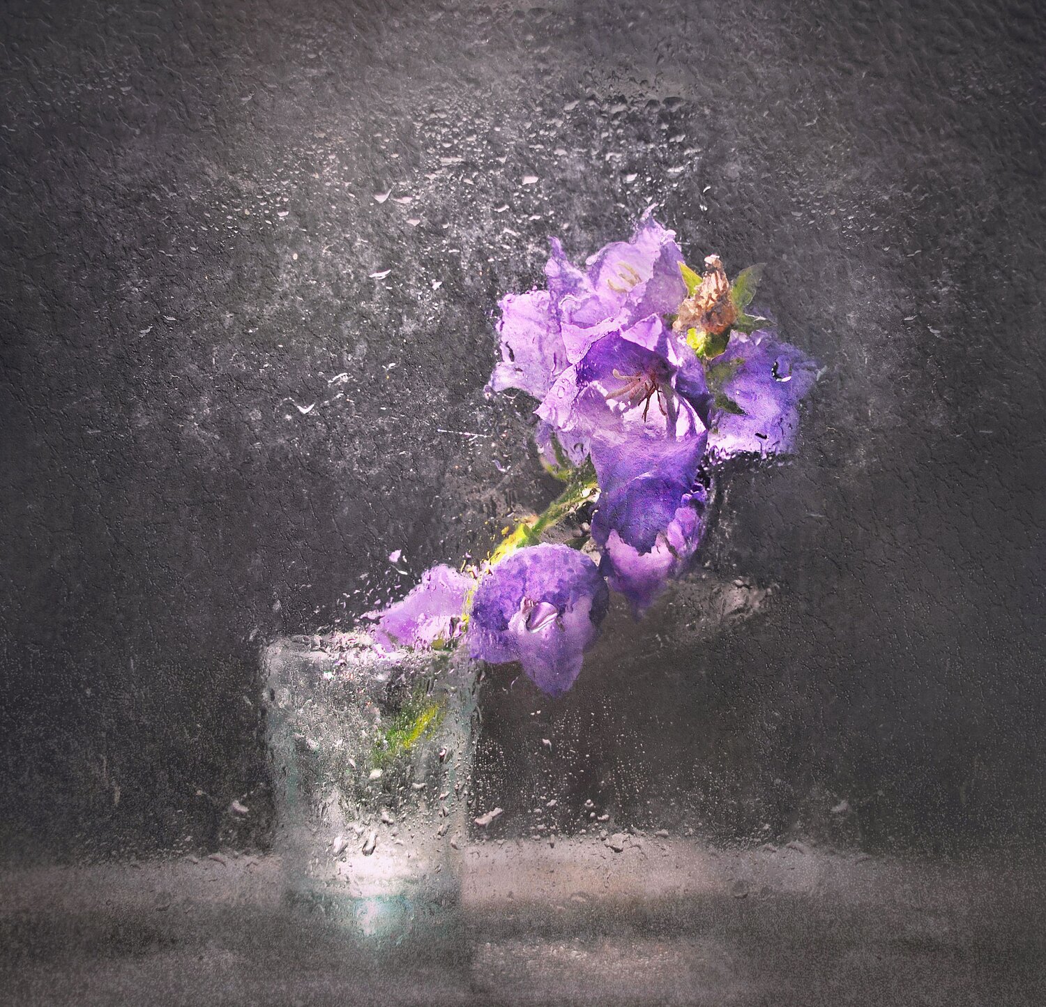 натюрморт, лето, капли, дождь, цветы, настроение, минимализм, still life, summer rain, water drops, flower, rainy mood, minimalistic, Буглак Инна