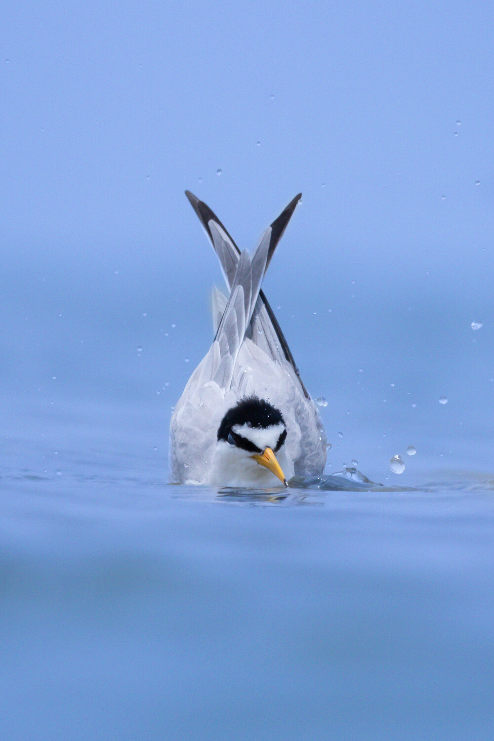 Bathing . Автор: Ishtiyak Shadab , Ishtiyak Shadab