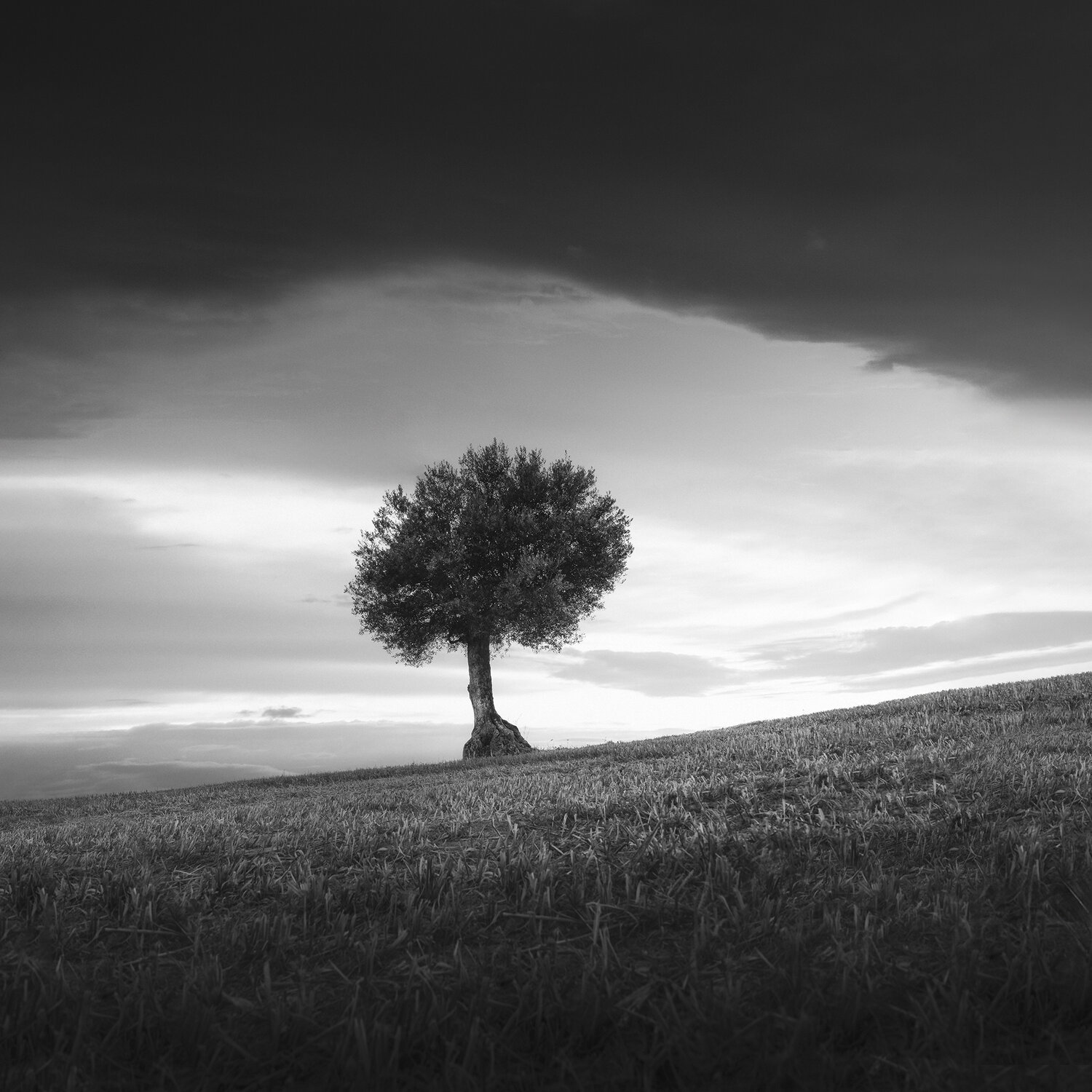, de Franzoni Thomas