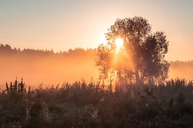 Тепло утреннего солнца фото превью