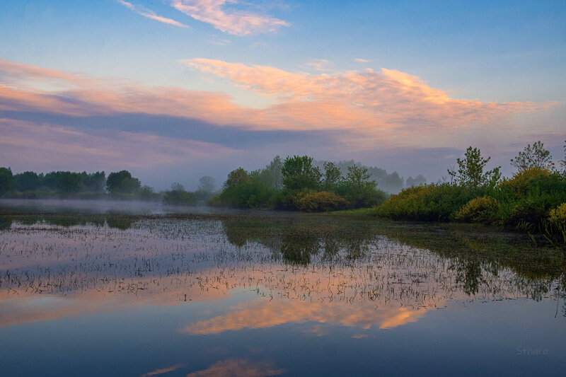 весна река туман облака, утро пейзаж природа отражение Берег Оки. фото превью