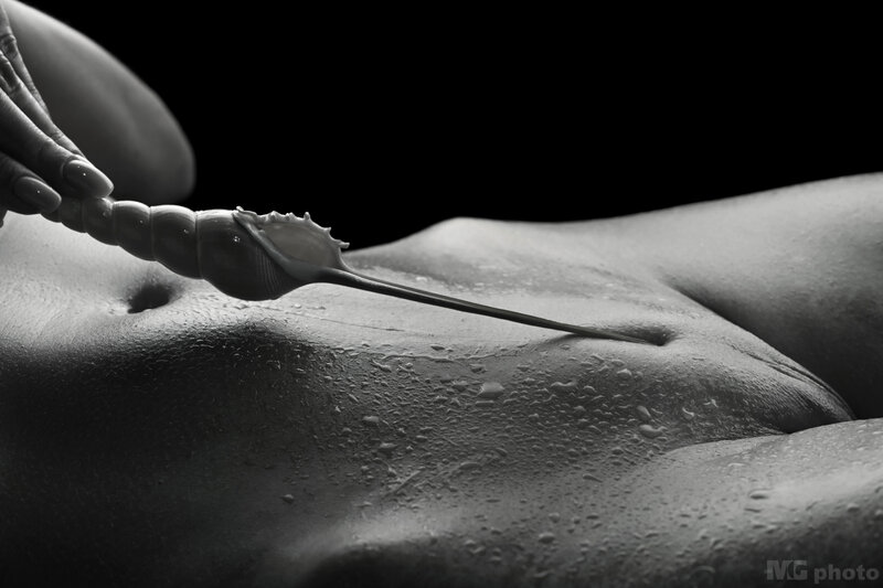 Body & shell #07 фото превью