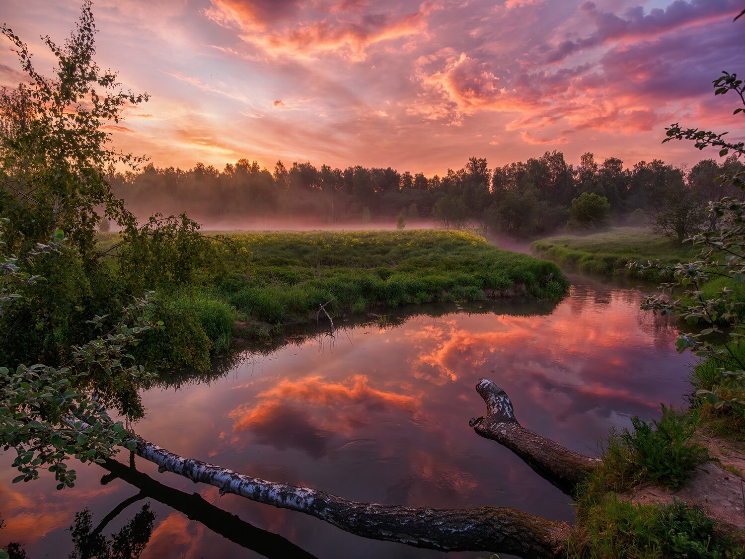 , Владимир Перепечаев