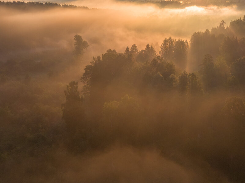 оленьи, ручьи  фото превью
