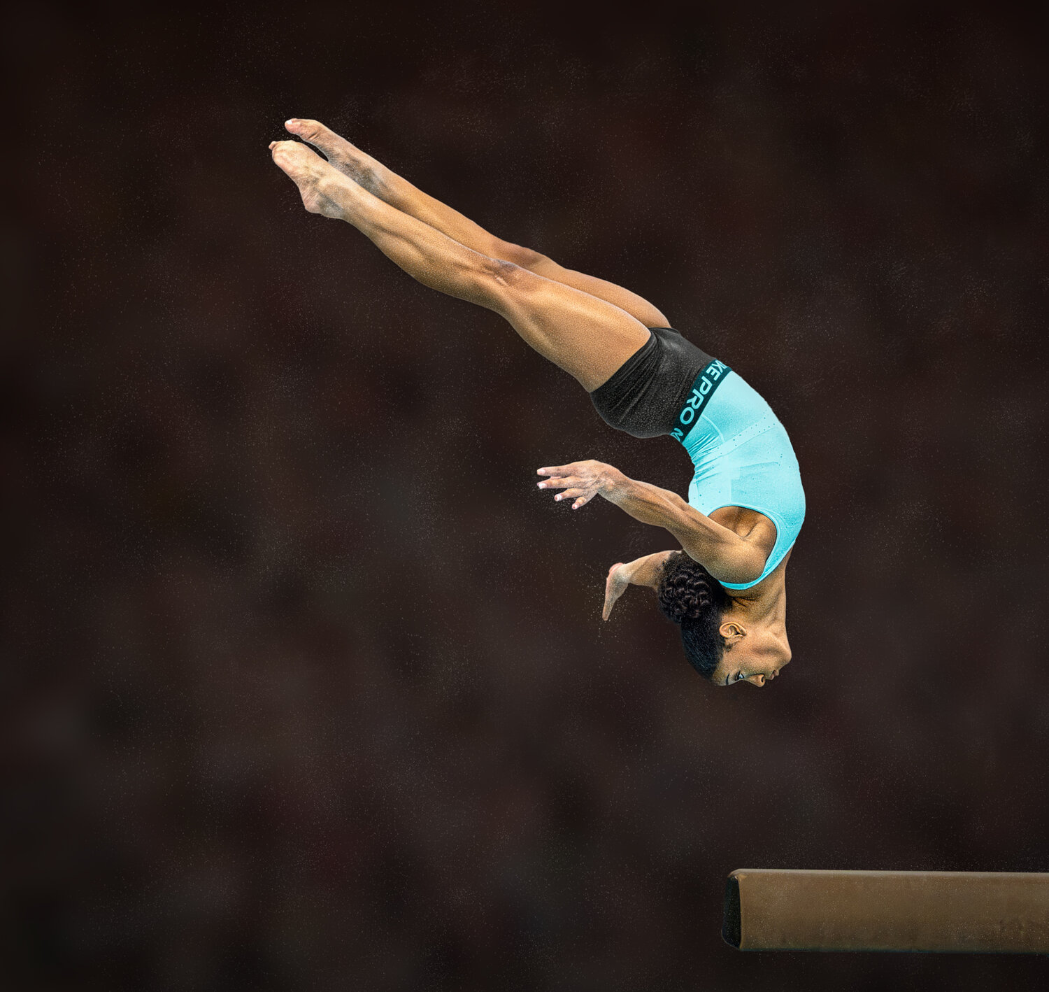 sport, sports_photography, gymnastics, Leach Eddie