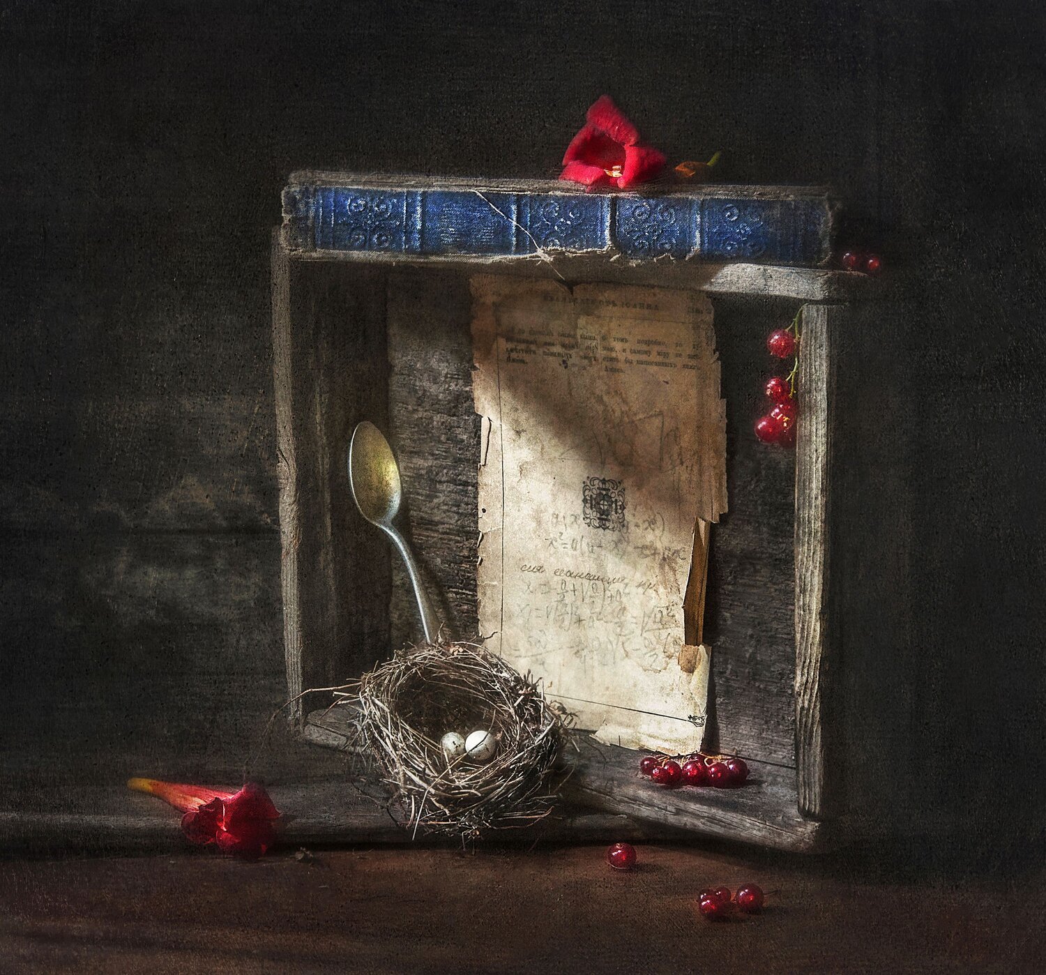 натюрморт, концепт, идея, книга, гнездо, цветы, still life, concept, old book, idea, summer flowers, nest, Буглак Инна