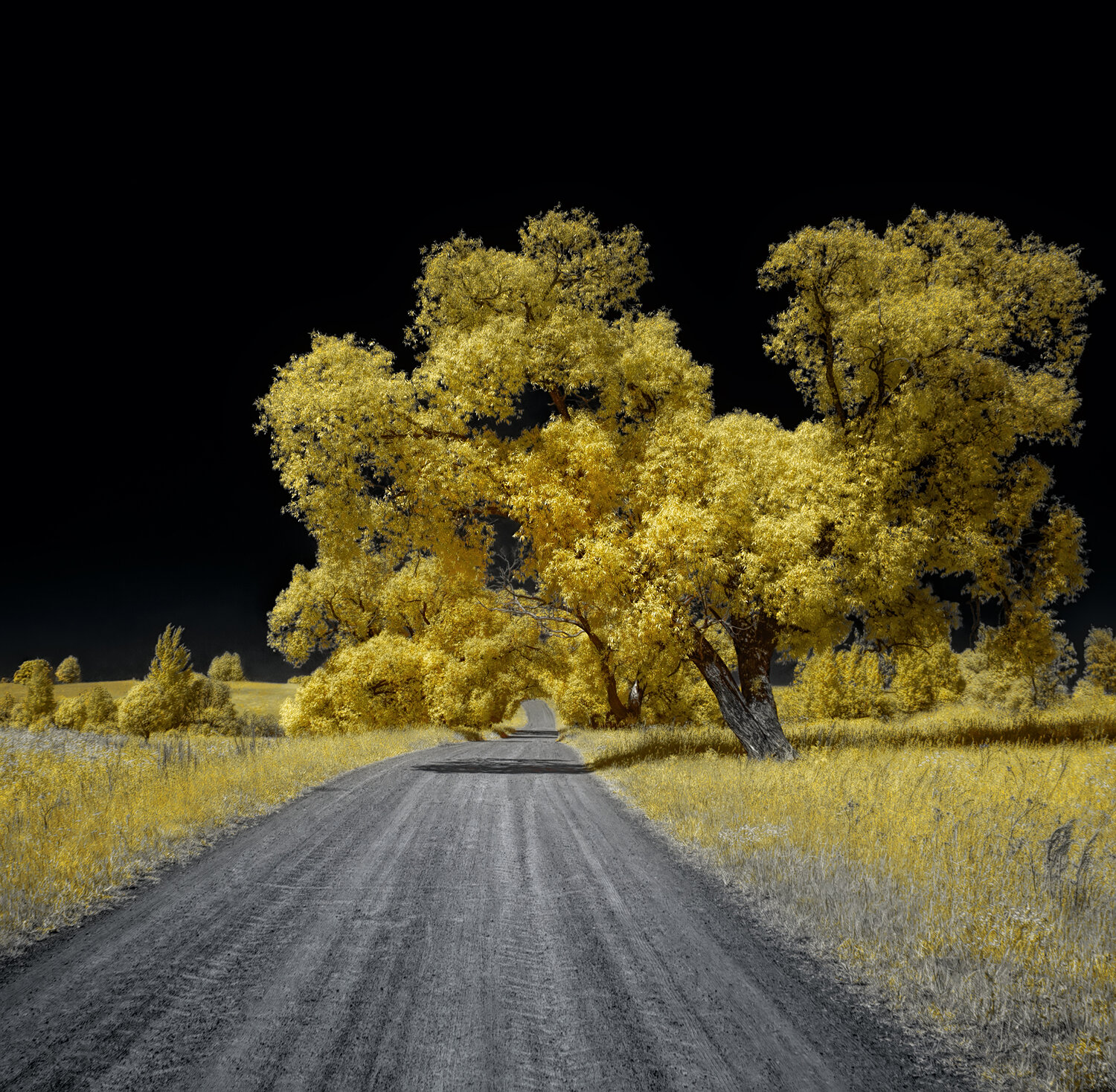 infrared, инфракрасное фото, инфракрасная фотография, лето, пейзаж, ик-фото,  Sixten (Сергей)