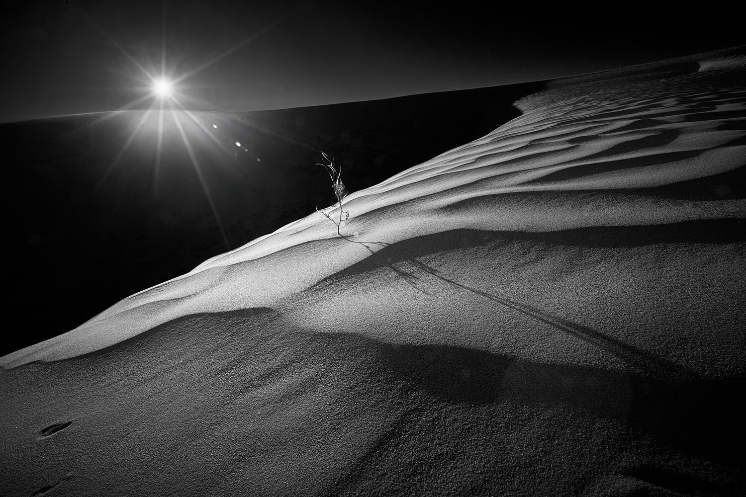 Автор: Boris Bekelman , Boris Bekelman