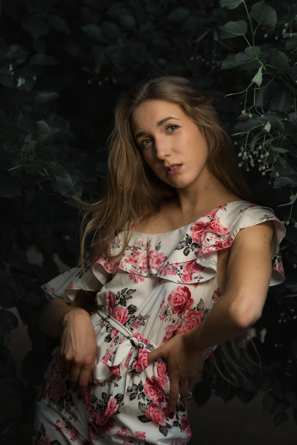 Ksenia. Автор: Maciej Werbliński , Maciej Werbliński