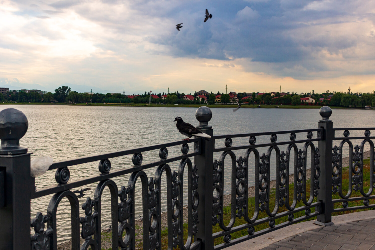 Автор: Адам Яндиев , Адам Яндиев