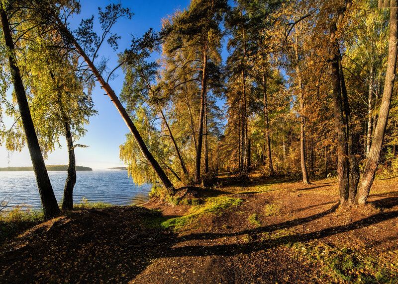 Утро на озере фото превью