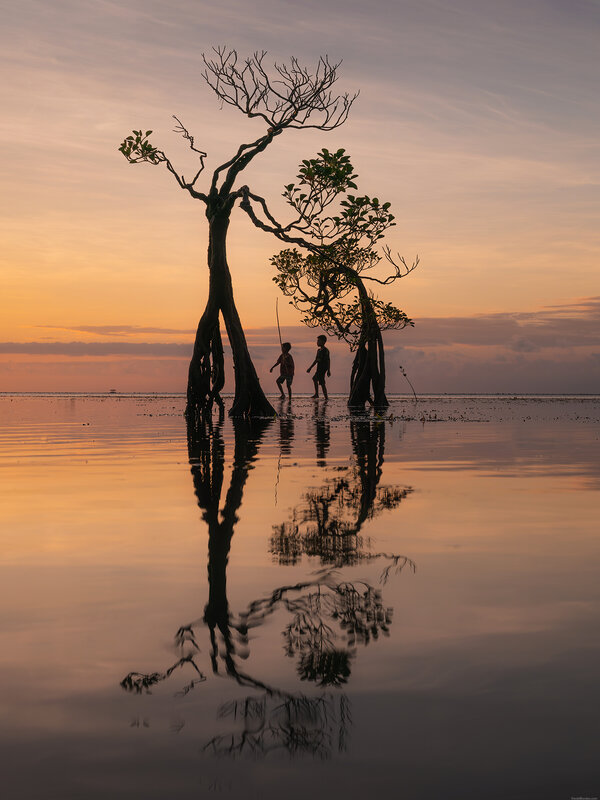 Sumba dancing trees фото превью