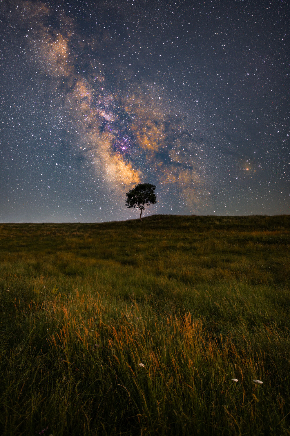 Lone Tree and Milky Way. Автор: Saba Gloveli milkyway, atrophotography, Saba Gloveli