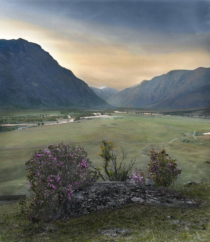 Весна на Алтае фото превью