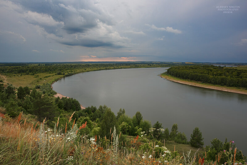 Где-то, середина лета. фото превью