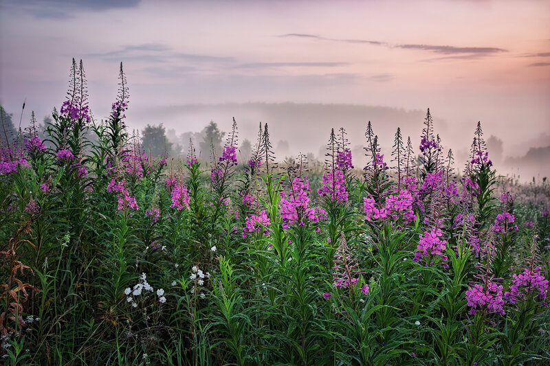* фото превью