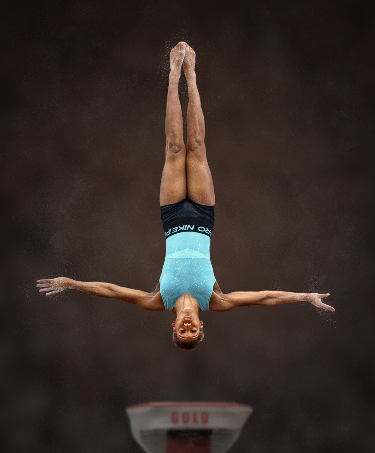 sport, sports_photography, gymnastics, Leach Eddie