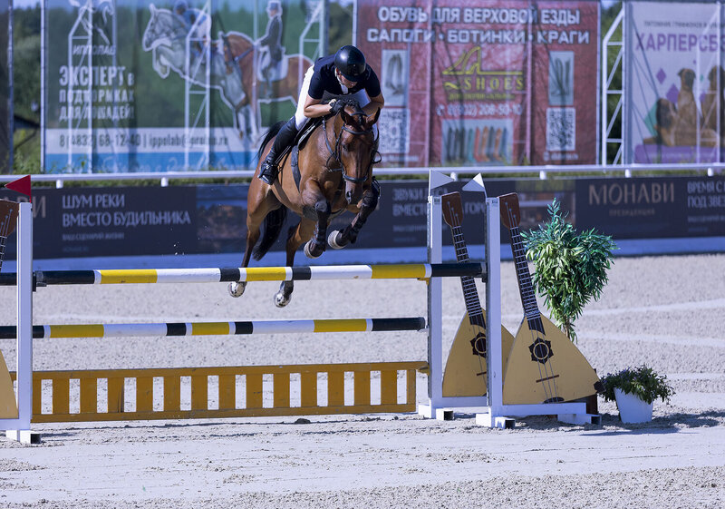 соревнования, конкур, спорт, competition, horse, jump, sport В стремительном прыжке фото превью