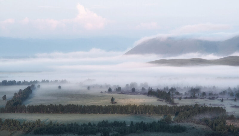 Легкий утренний туман фото превью