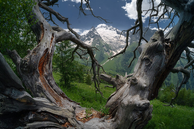 Домбай фото превью