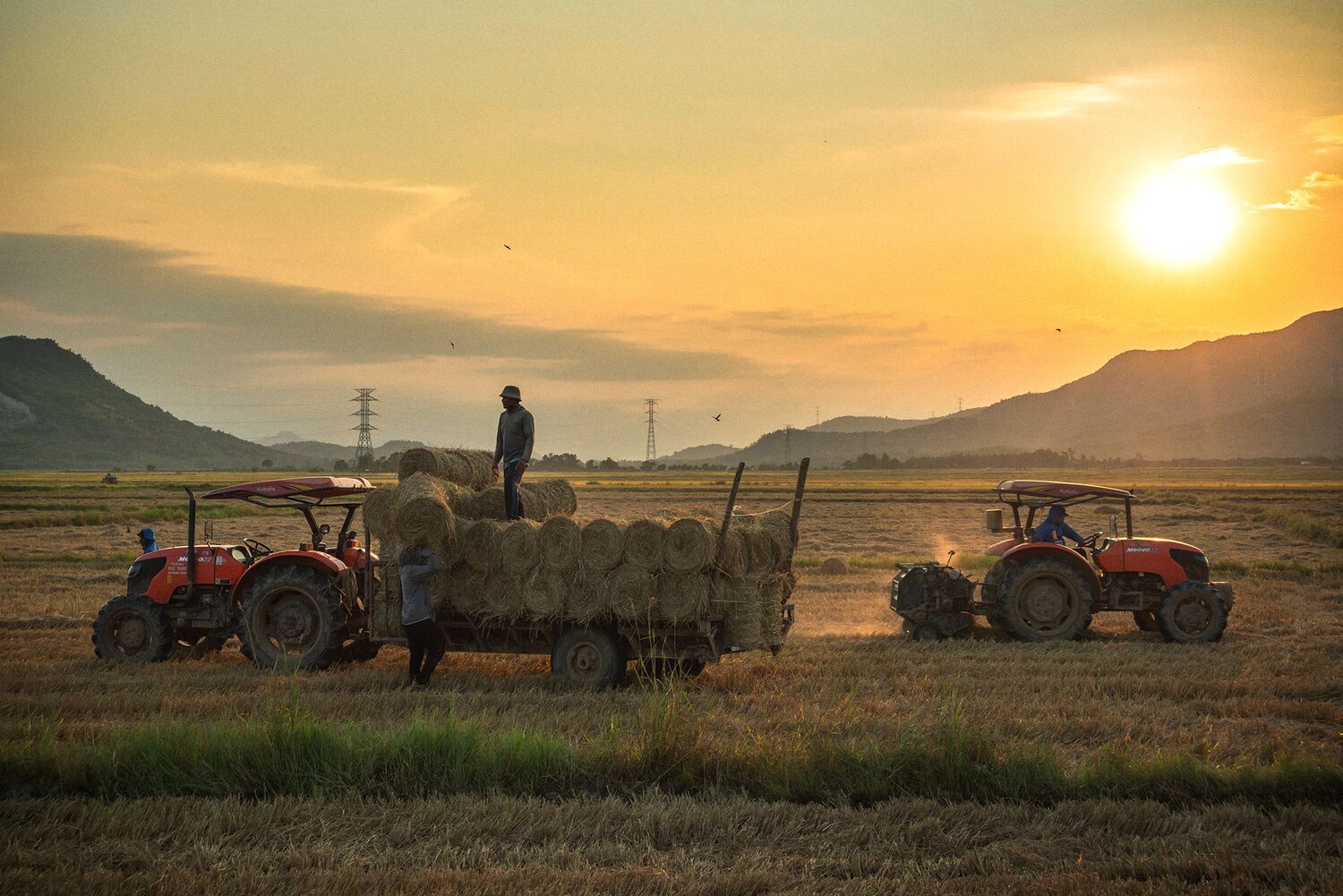 d610, 28-70mm f/3.5-4.5 D, Mimic