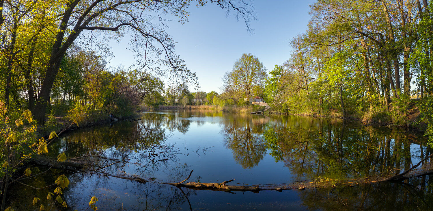 pond, nature, reflection, trees, spring, water, landscape, sunlight, blue sky, park, Poland, panorama, Виктор Тулбанов
