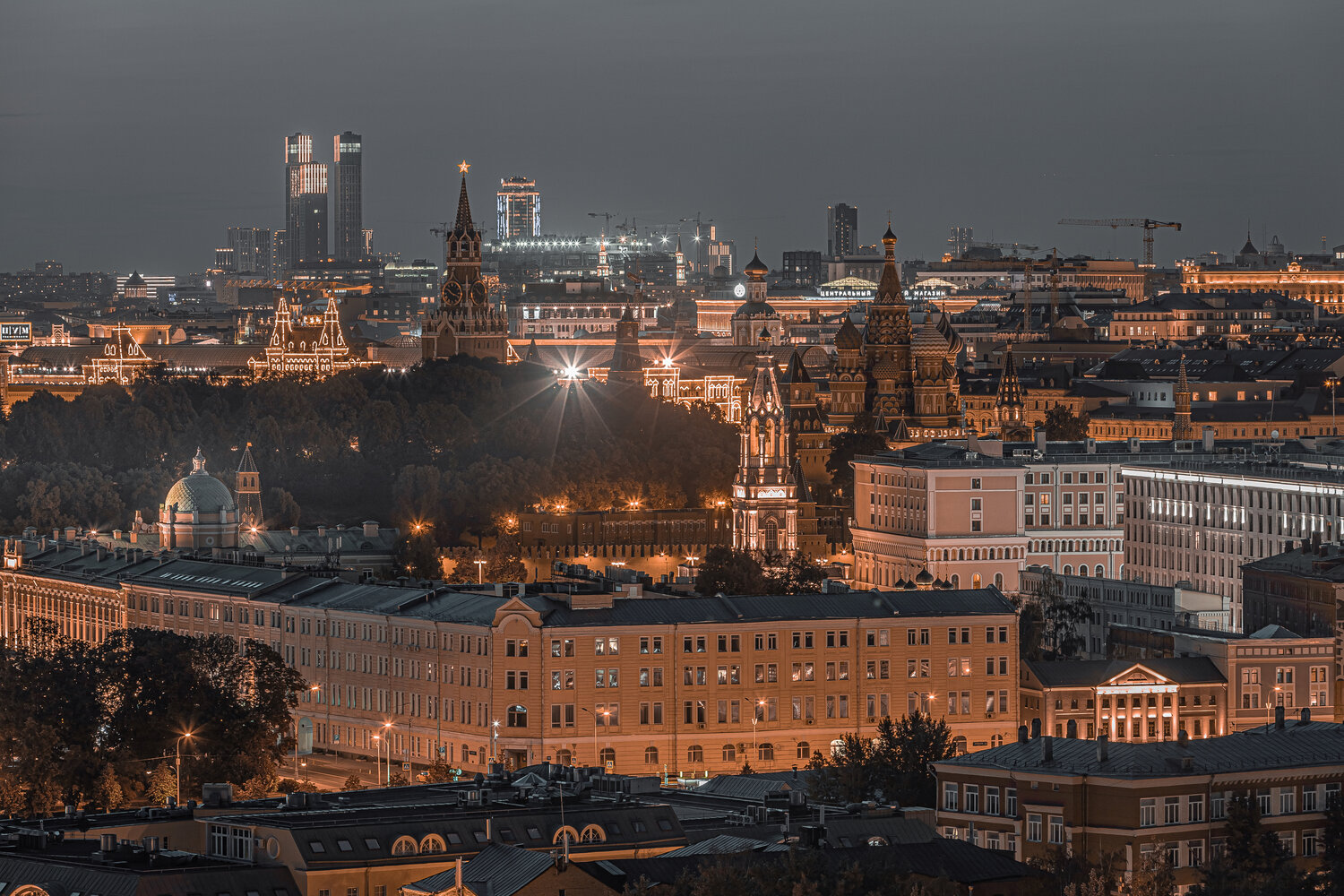 , Трепольский Дмитрий