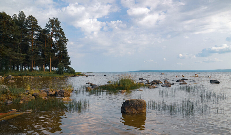 озеро, камни, дети, сосны Июль фото превью