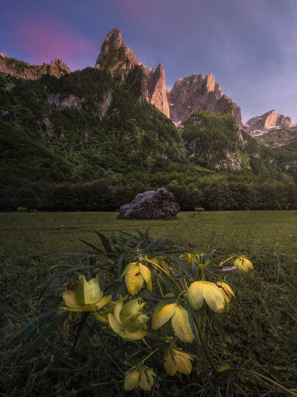 фото превью