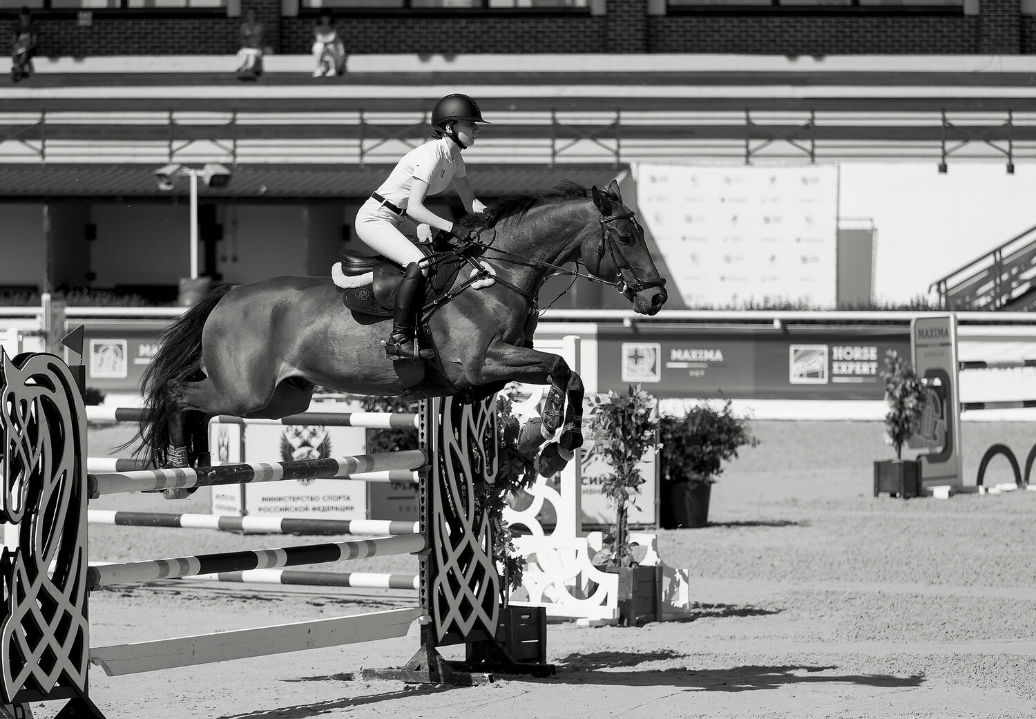 спорт, конкур, соревнования, competition, jump, horse, sport, movement, Юлия Стукалова