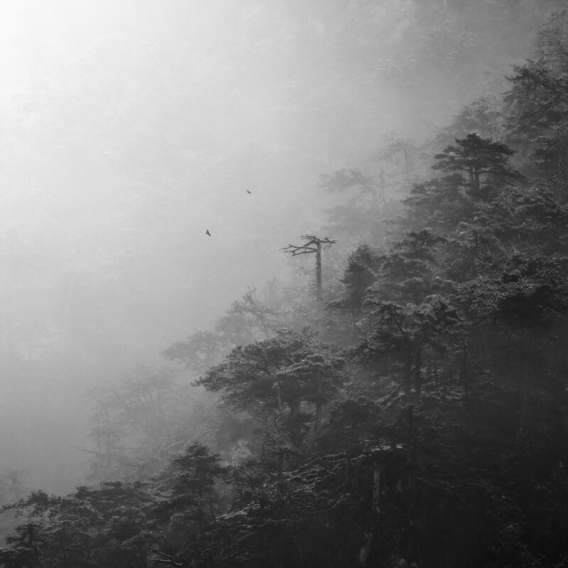 Breath of Winter фото превью