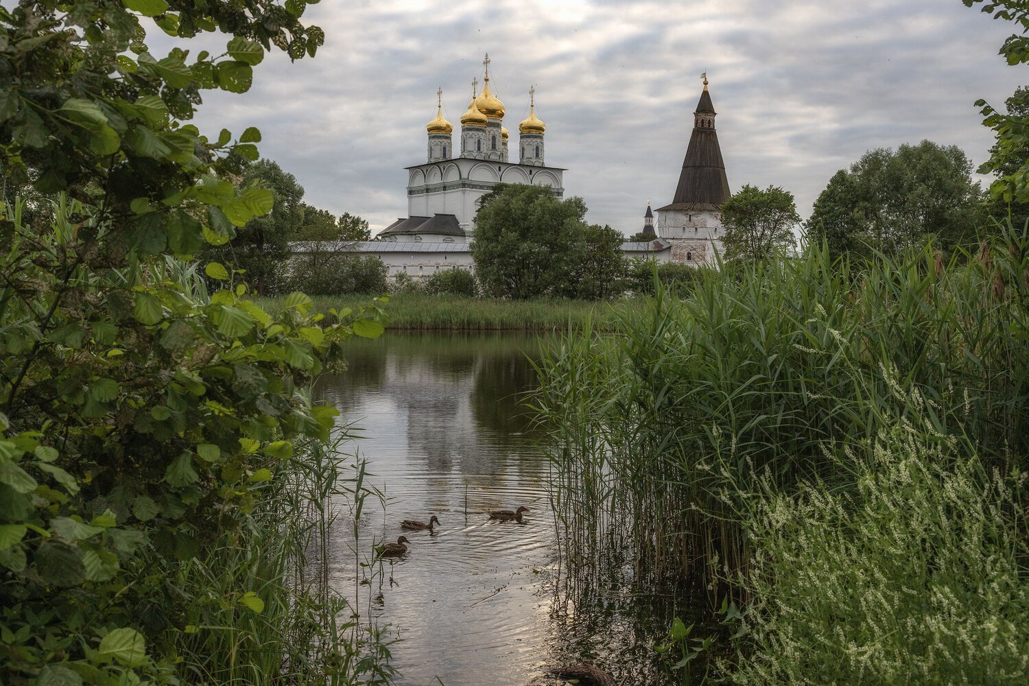 Волоколамский, район, Елена Гусева