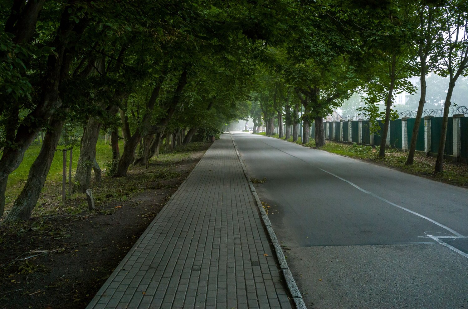 , Сергей Гратулевич
