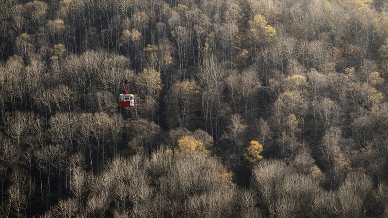 пейзаж, осень, деревья, канатная дорога, вагончик, природа, парк Над осенью фото превью