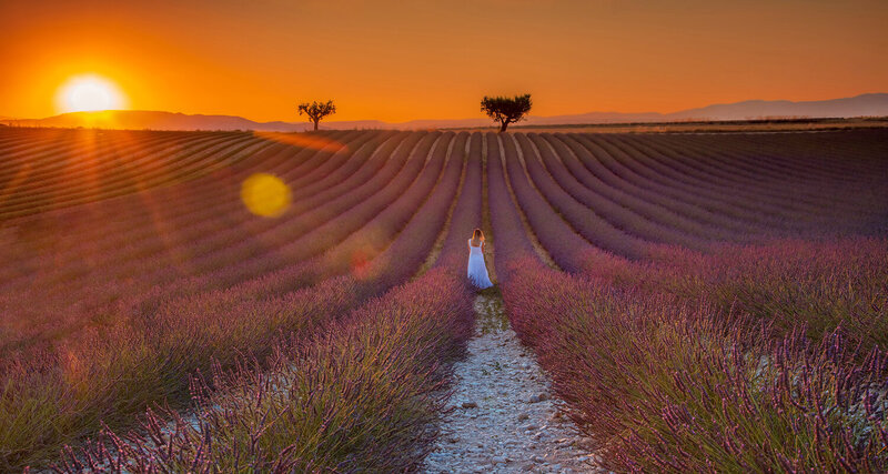 lawender, sunset, model, flowers, provence, naturephotography, france, goldenhour, romantic, magical, lavenderfield Lavender model фото превью