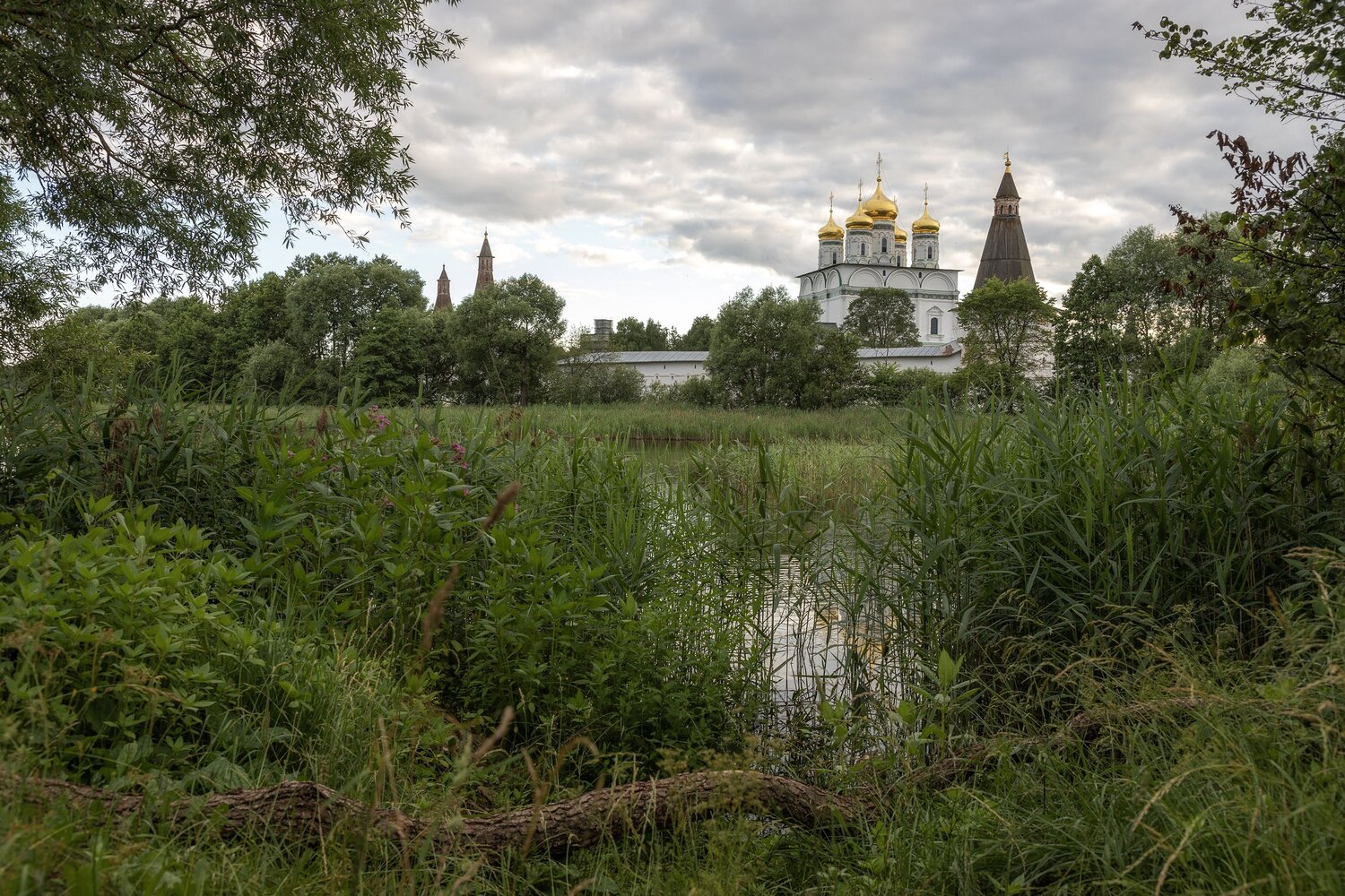 Волоколамский, район, Елена Гусева