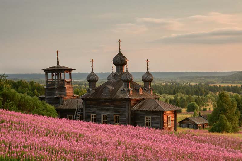 Утро с чашечкой иван-чая....  фото превью