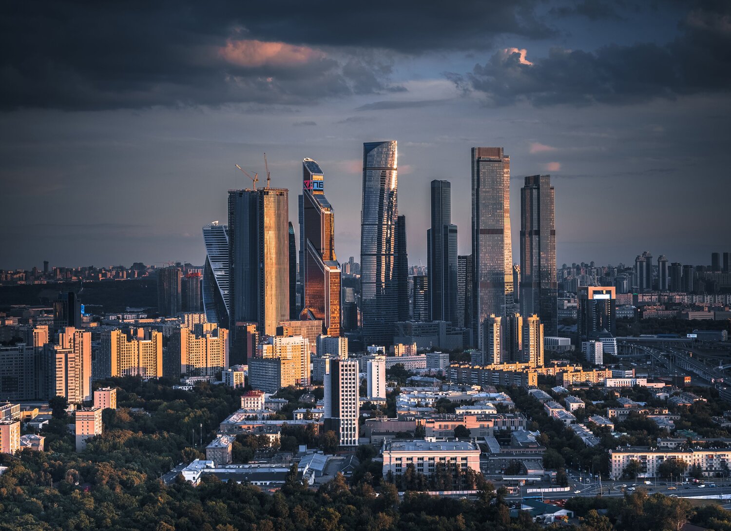 , Трепольский Дмитрий