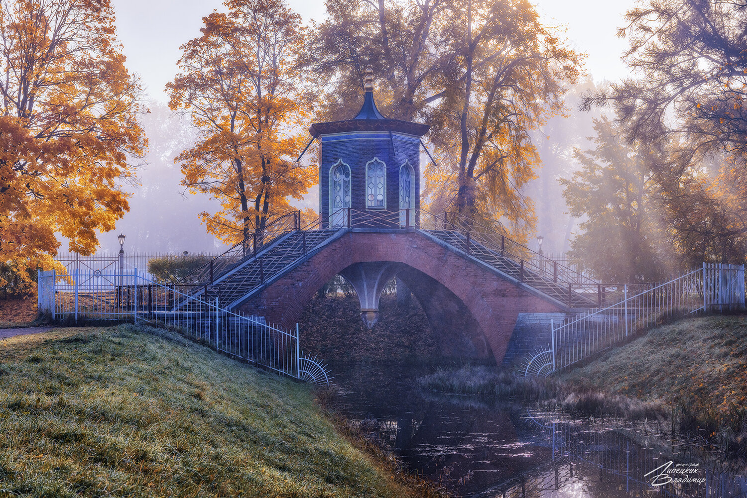санкт-петербург, александровский парк, осень, Липецких Владимир