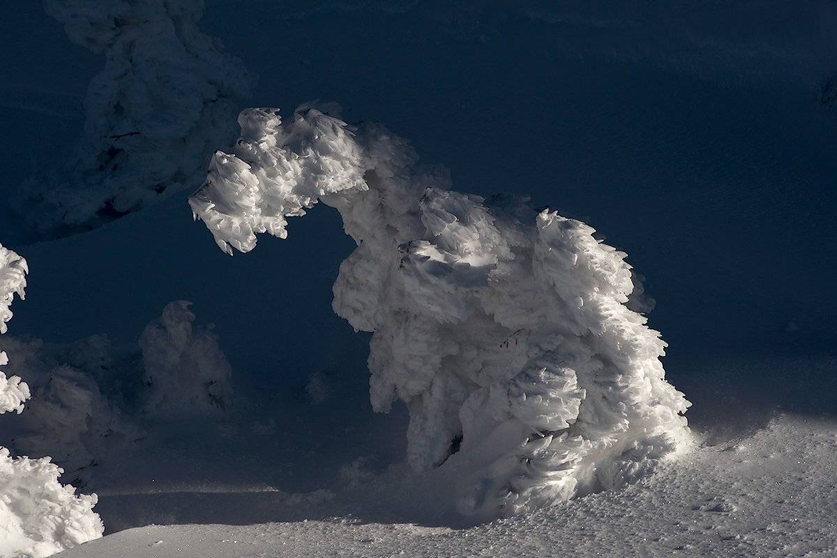 горная шория, зима, иней, кедр, мороз, сибирь, снег, холод, шерегеш, Валерий Пешков