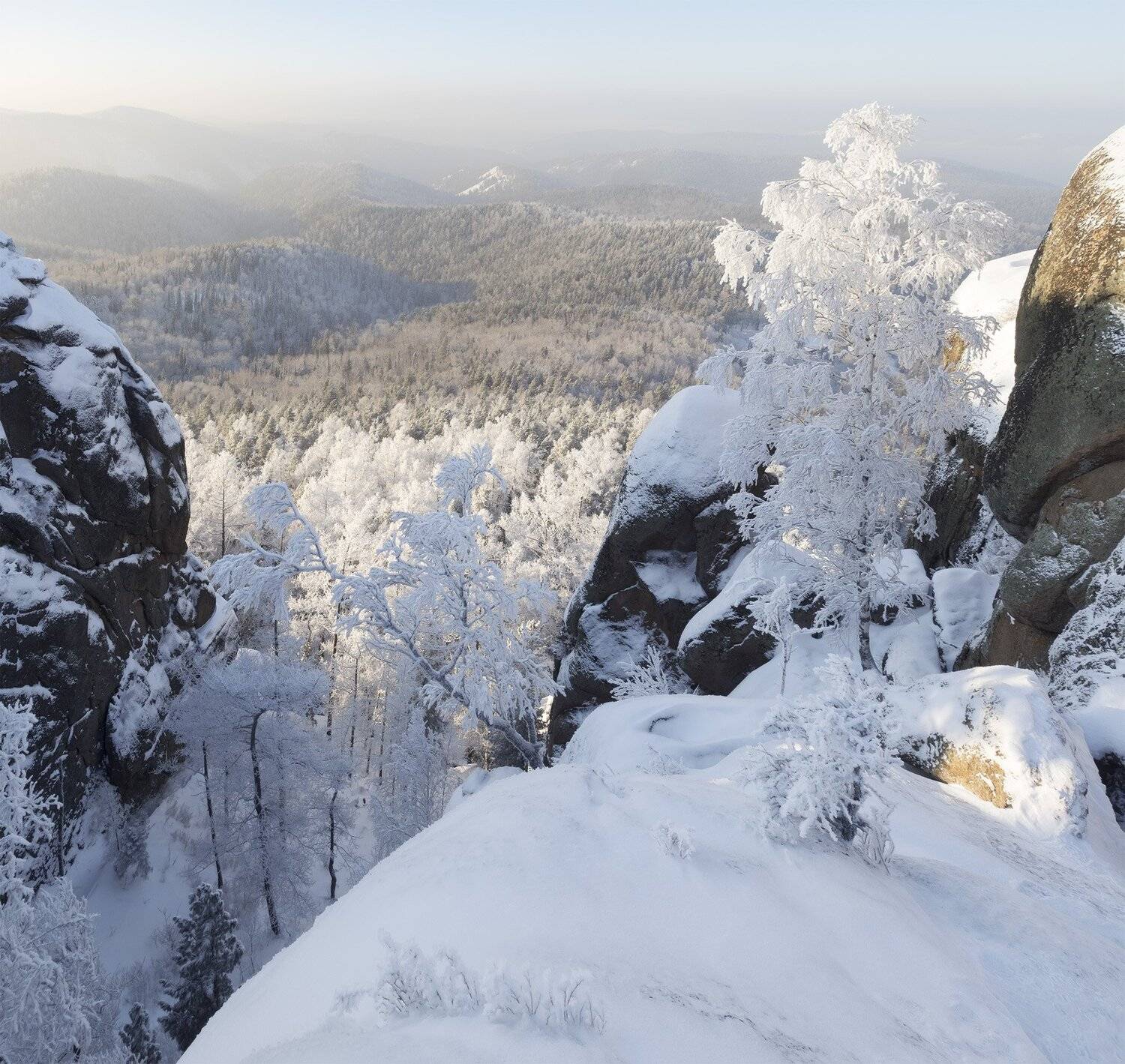 , Лещёнок Александр