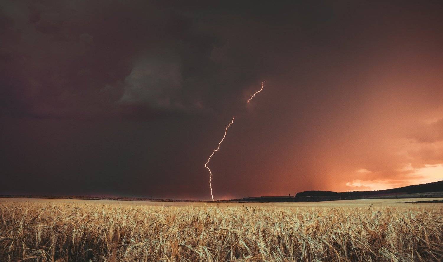 , Александр Казин